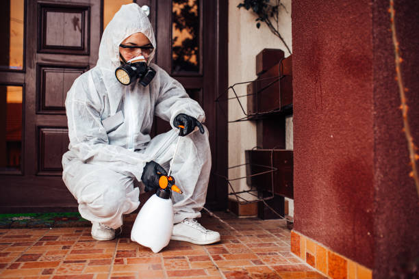 Reliable Emergency Pest Control contractor in South Fulton, GA by Nex Pest Control