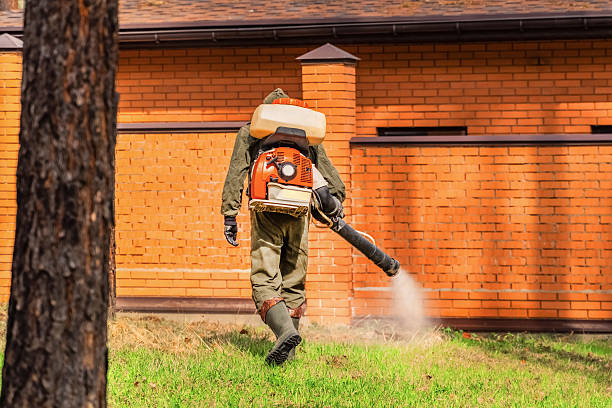 Trusted Mosquito Control service in South Fulton, GA - Nex Pest Control